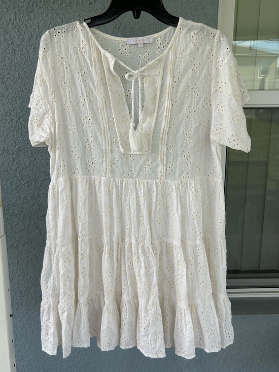 Dresses & Skirts - Olivaceous Off White Eyelet Babydoll Mini Dress Sz L Boho Cottagecore Tassel Tie